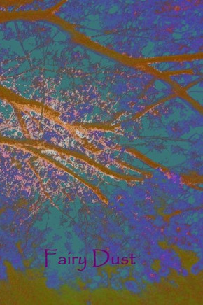 Fairy Dust: personal diary