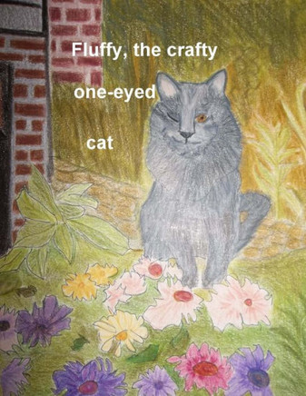 Fluffy, the one eyed cat!