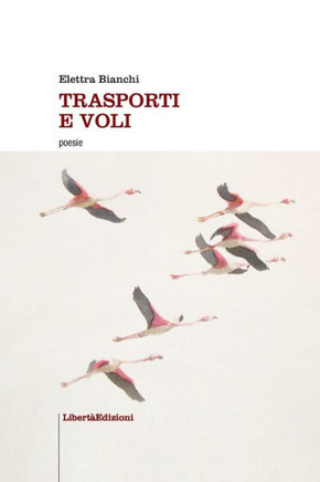 Trasporti e voli
