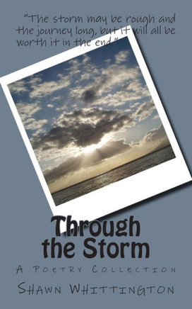 Through the Storm: A Poetry Collection