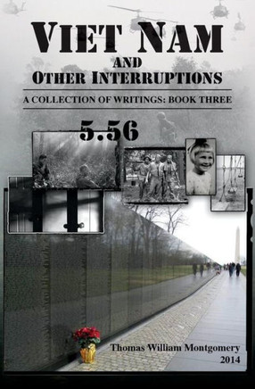 Viet Nam and Other Interruptions: Viet Nam and Other Interruptions A Collection of Writings: Book 3