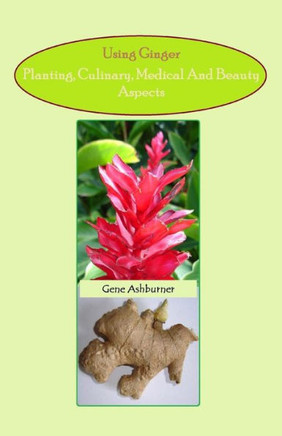Using Ginger: Planting, Culinary, Medical And Beauty Aspects