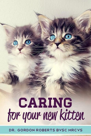 Caring for Your New Kitten: How to care for your kitten and everything you need to know to keep them well.