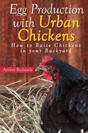 Egg Production with Urban Chickens: How to Raise Chickens in Your Backyard