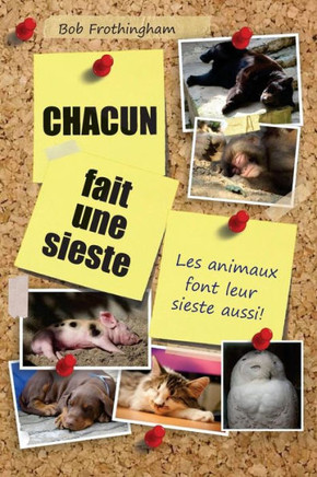 Chacun fait une sieste: Les animaux font leur sieste aussi!