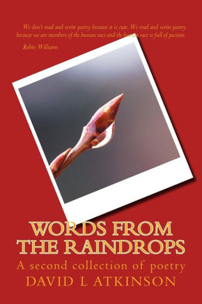 Words from the Raindrops: A second collection of poetry