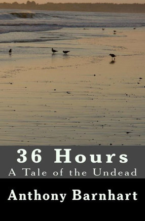 36 Hours: the 2nd Edition