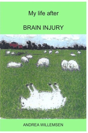 My life after BRAIN INJURY