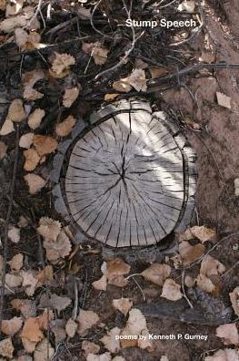 Stump Speech: poems by Kenneth P. Gurney