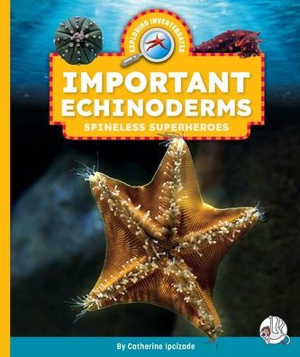 Important Echinoderms: Spineless Superheroes