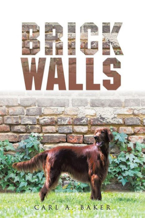 Brick Walls : 9781504967464