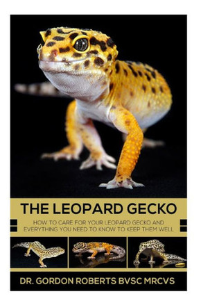 The Leopard Gecko: How to care for your Leopard Gecko and everything you need to know to keep them well.