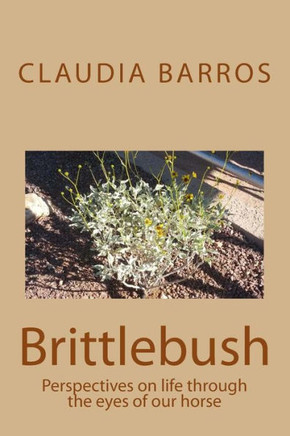 Brittlebush: Perspectives on life through the eyes of our horse