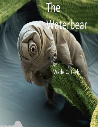 The Waterbear: Some Kind Of Love