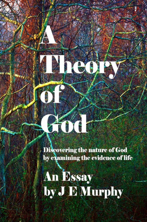 A Theory of God: Discovering the nature of God by examining the evidence of Life