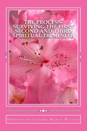 The Process-Surviving The First Second and Third Spiritual Trimester