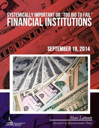 Systemically Important or ""Too Big to Fail"" Financial Institutions