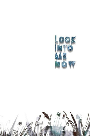 Look Into Me Now: a book of abandoned things