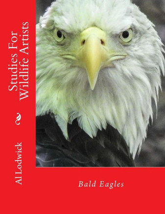 Bald Eagles: Studies For Wildlife Artists