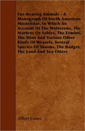 Fur-Bearing Animals - A Monograph Of North American Mustelidae, In Which An Account Of The Wolverene, The Martens Or Sables, The Ermine, The Minx And