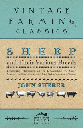 Sheep and Their Various Breeds - Containing Information on the Lincolnshire, the Saxon Merino, the Southdown and Many Other Varieties of Sheep