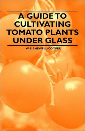 A Guide to Cultivating Tomato Plants Under Glass