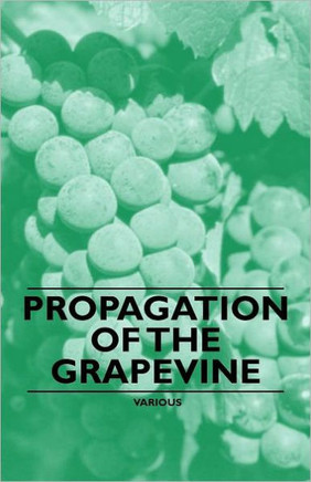 Propagation of the Grapevine
