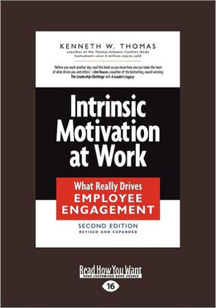 Intrinsic Motivation at Work: What Really Drives Employee Engagement (Large Print 16pt) - Large Print