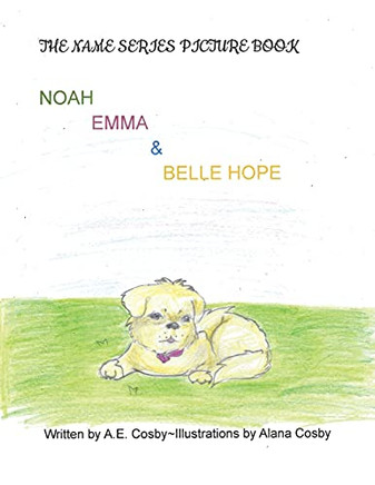 The Name Series Picture Book: Noah, Emma & Belle Hope