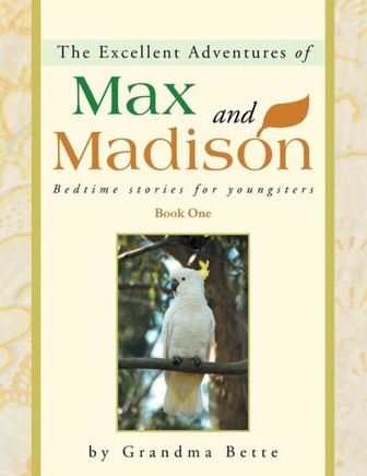 The Excellent Adventures of Max and Madison: Bedtime Stories for Youngsters - 9781452572642