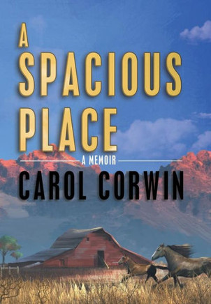 A Spacious Place - 9781449785994