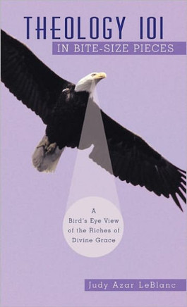 Theology 101 in Bite-Size Pieces: A Bird's Eye View of the Riches of Divine Grace - 9781449707071