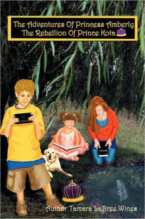 The Adventures of Princess Amberly: The Rebellion of Prince Kota - 9781449716875