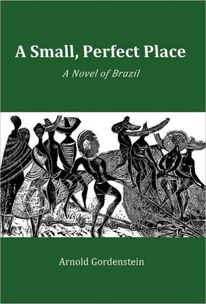 A Small, Perfect Place: A Novel of Brazil - 9781462020959