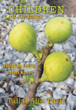 Children of Abraham: United We Prevail, Divided We Fail - 9781475990461