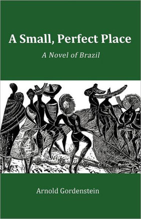A Small, Perfect Place: A Novel of Brazil - 9781462020935