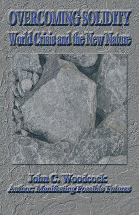 Overcoming Solidity: World Crisis and the New Nature