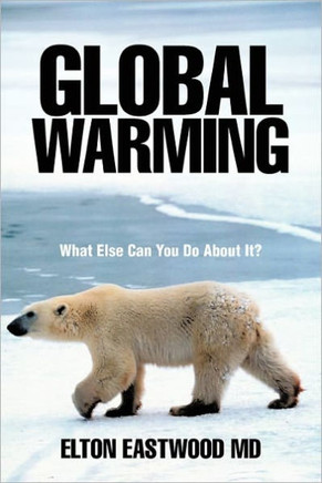 Global Warming: What Else Can You Do about It?