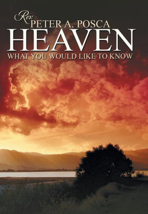 Heaven: What You Would Like to Know - 9781481761130