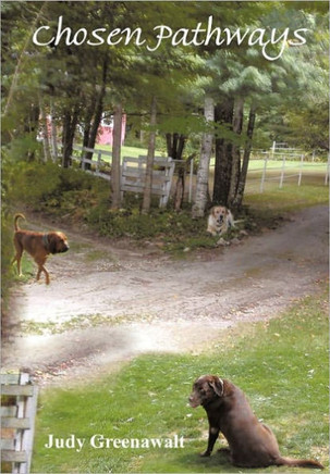 Chosen Pathways - 9781452088396