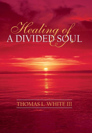 Healing of a Divided Soul - 9781481707169