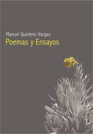 Poemas Y Ensayos - 9781456718565