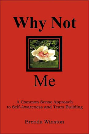 Why Not Me?: ""A Common Sense Approach to Self-Awareness and Team Building""