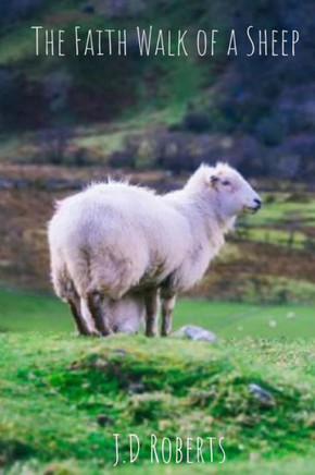 The Faith Walk Of A Sheep