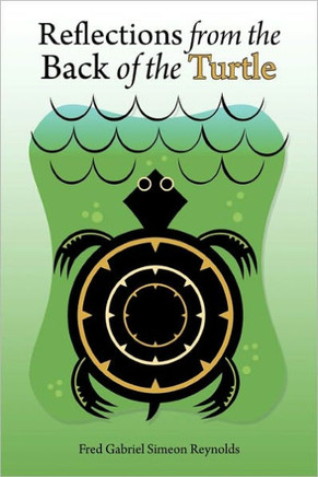 Reflections from the Back of the Turtle - 9781456715878
