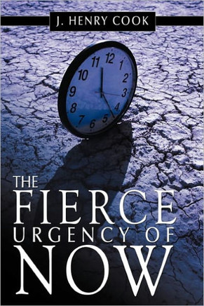 The Fierce Urgency of Now - 9781452098661