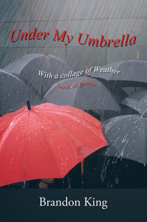 Under My Umbrella: With a collage of Weather - 9781468564006