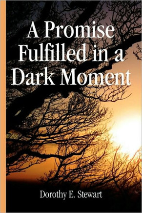 A Promise Fulfilled in a Dark Moment - 9781450025393