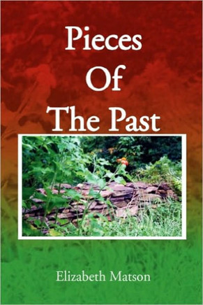 Pieces of the Past - 9781453599778