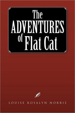 The Adventures of Flat Cat - 9781462893966